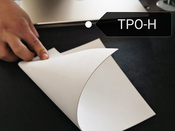 Thermoplastic polyolefin TPO