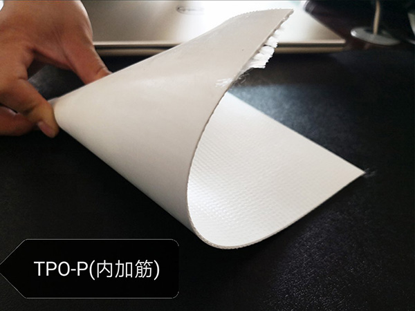Thermoplastic polyolefin TPO