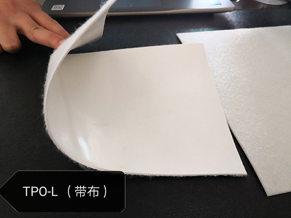 Thermoplastic polyolefin TPO