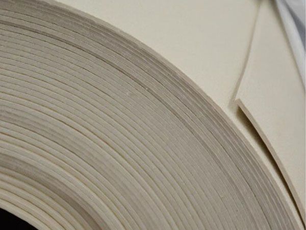 Thermoplastic polyolefin TPO